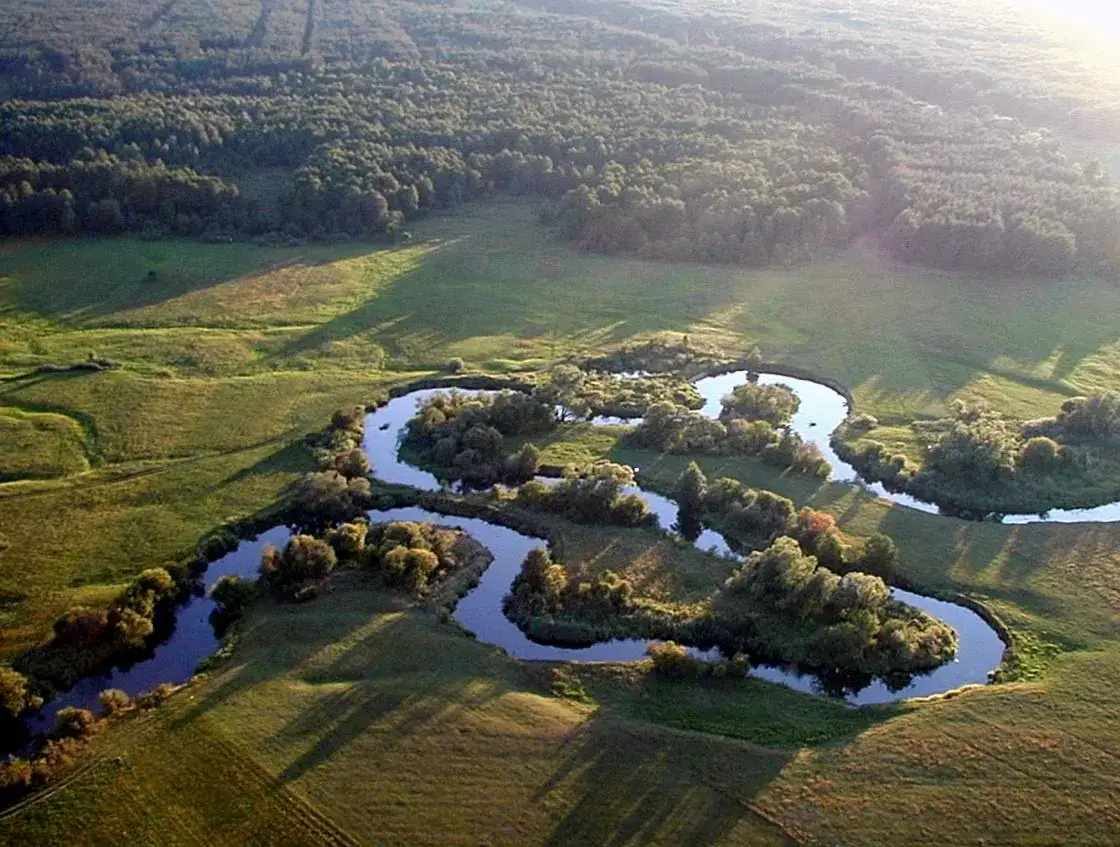 Zdjęcie Spływ kajakowy Liwiec: najlepsze trasy i porady dla początkujących