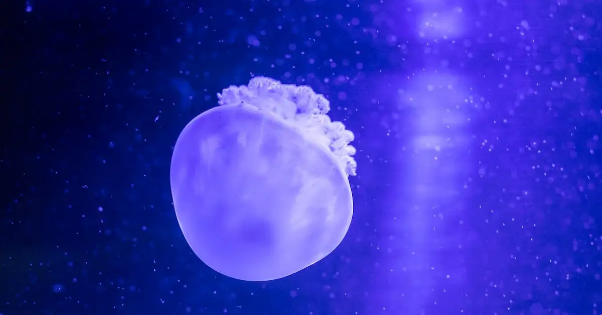 Avatar Istota Wody: nowe granice w kinie science fiction