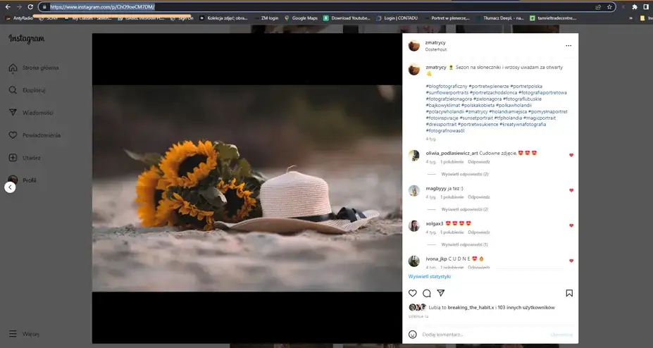 Zdjęcie Jak pobrać zdjęcie z IG: 5 prostych sposobów na zapisanie fotek