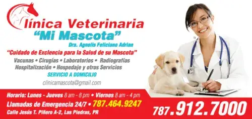 Zdjęcie Veterinario Cruz de Piedra: Atención 24 horas para tu mascota