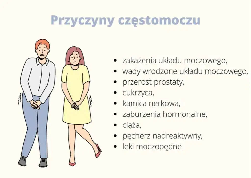 Zdjęcie Częstomocz przyczyny: poznaj niebezpieczne powody częstego oddawania moczu