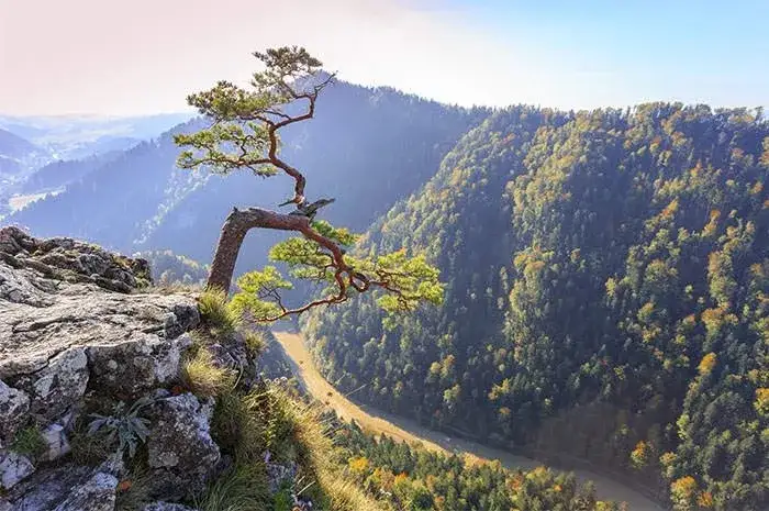 Zdjęcie Wakacje w górach gdzie znaleźć najlepsze miejsca i atrakcje