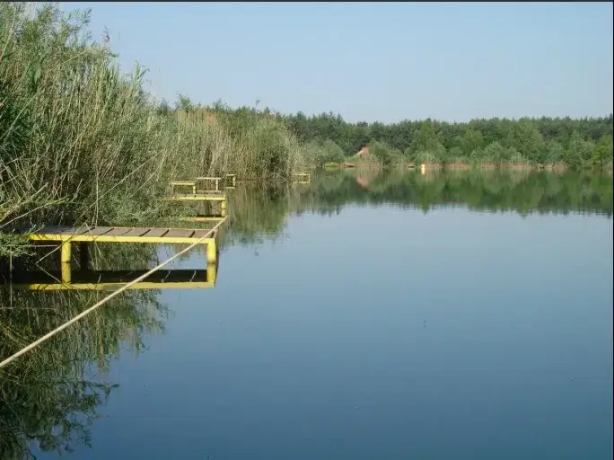 Zdjęcie Łowisko Okoń w Janówku Pierwszym - Idealne miejsce na wędkowanie