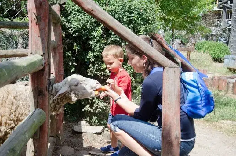 Zdjęcie Najlepsze atrakcje w Nieporęcie - Idealne miejsce na wypoczynek