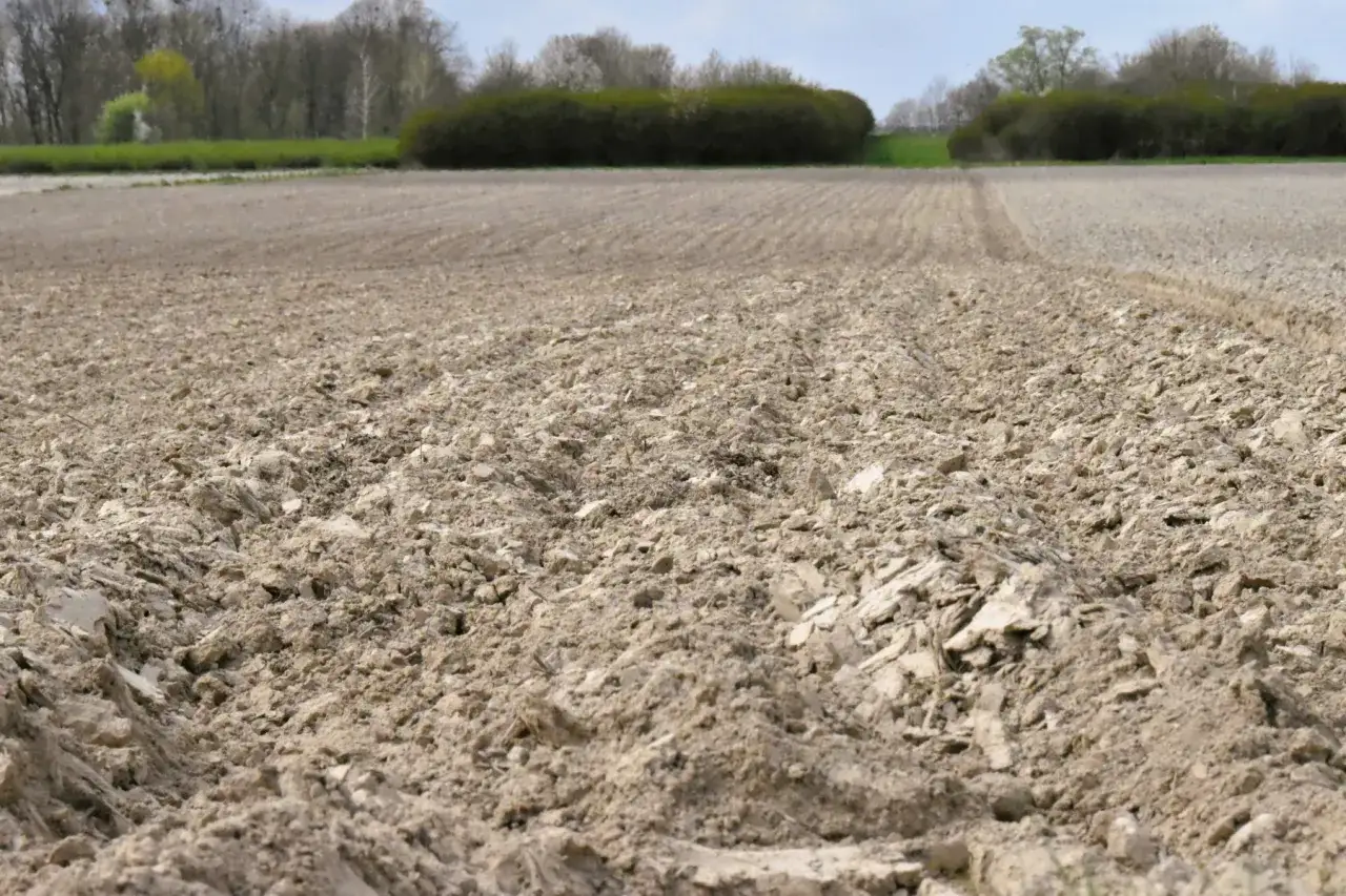 Zdjęcie Jaki nawóz pod mieszankę zbożową? Sprawdź, co musisz wiedzieć!