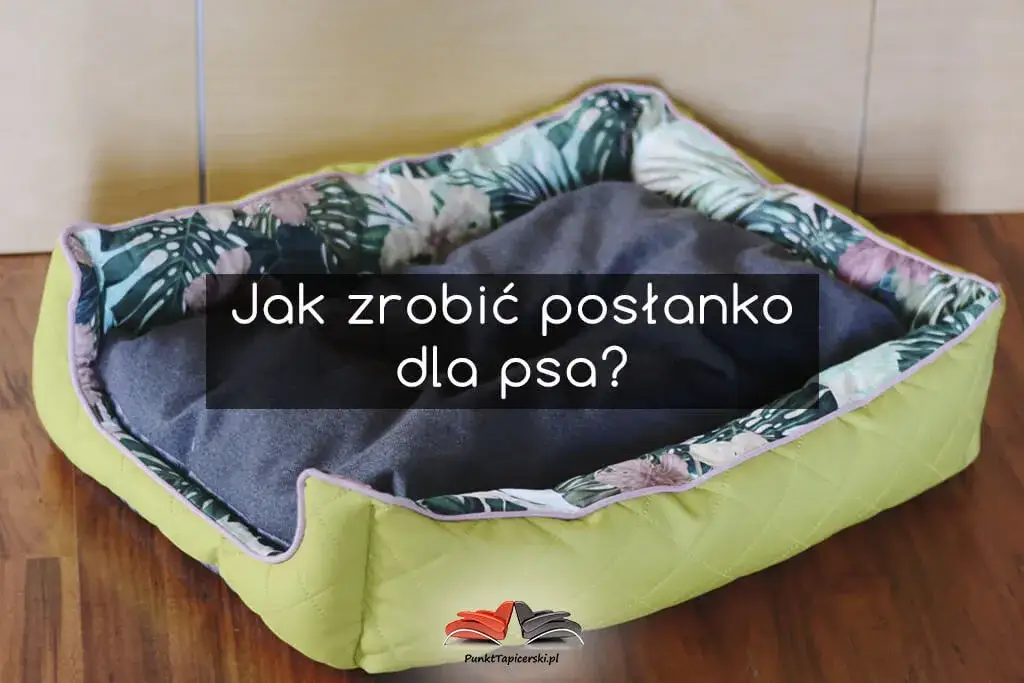 Zdjęcie Jak zrobić nosidełko dla psa w domu: kompletny przepis krok po kroku