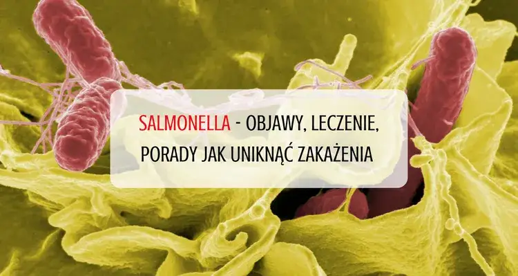 Zdjęcie Salmonella objawy i zagrożenia - jakie sygnały powinny niepokoić?