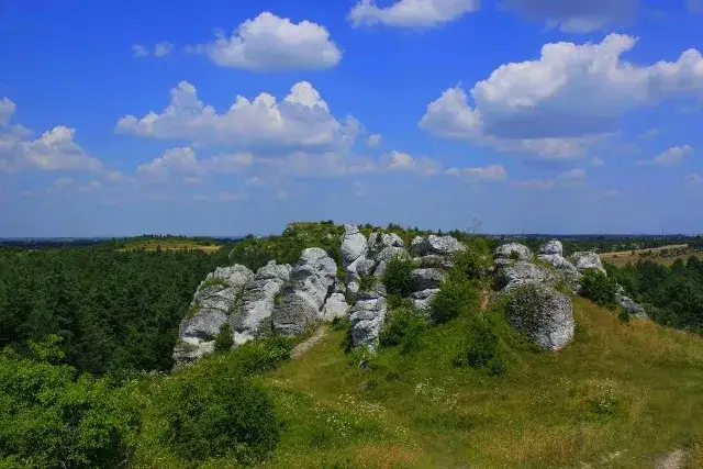 Zdjęcie Najpiękniejsze rezerwaty przyrody na Śląsku – gdzie warto się wybrać i co zobaczyć