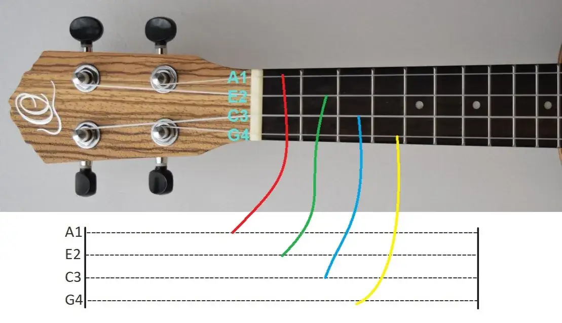 Zdjęcie Chwyty ukulele do Czas, który pozostał – nauka gry krok po kroku