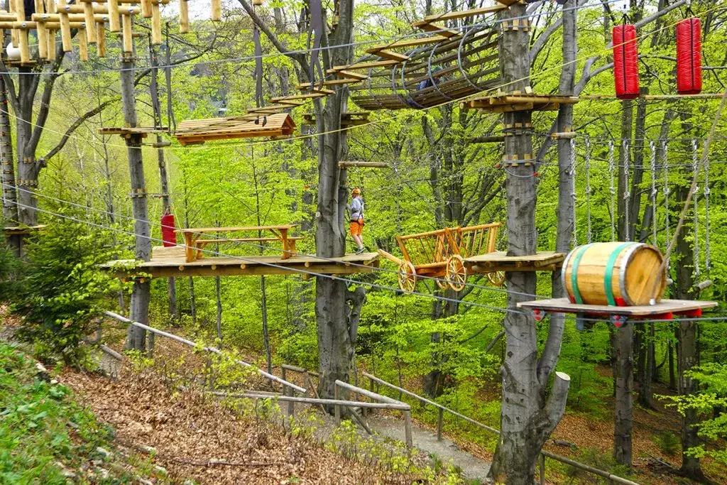 Zdjęcie Najlepsze parki linowe w Polsce – sprawdź, gdzie warto się wybrać