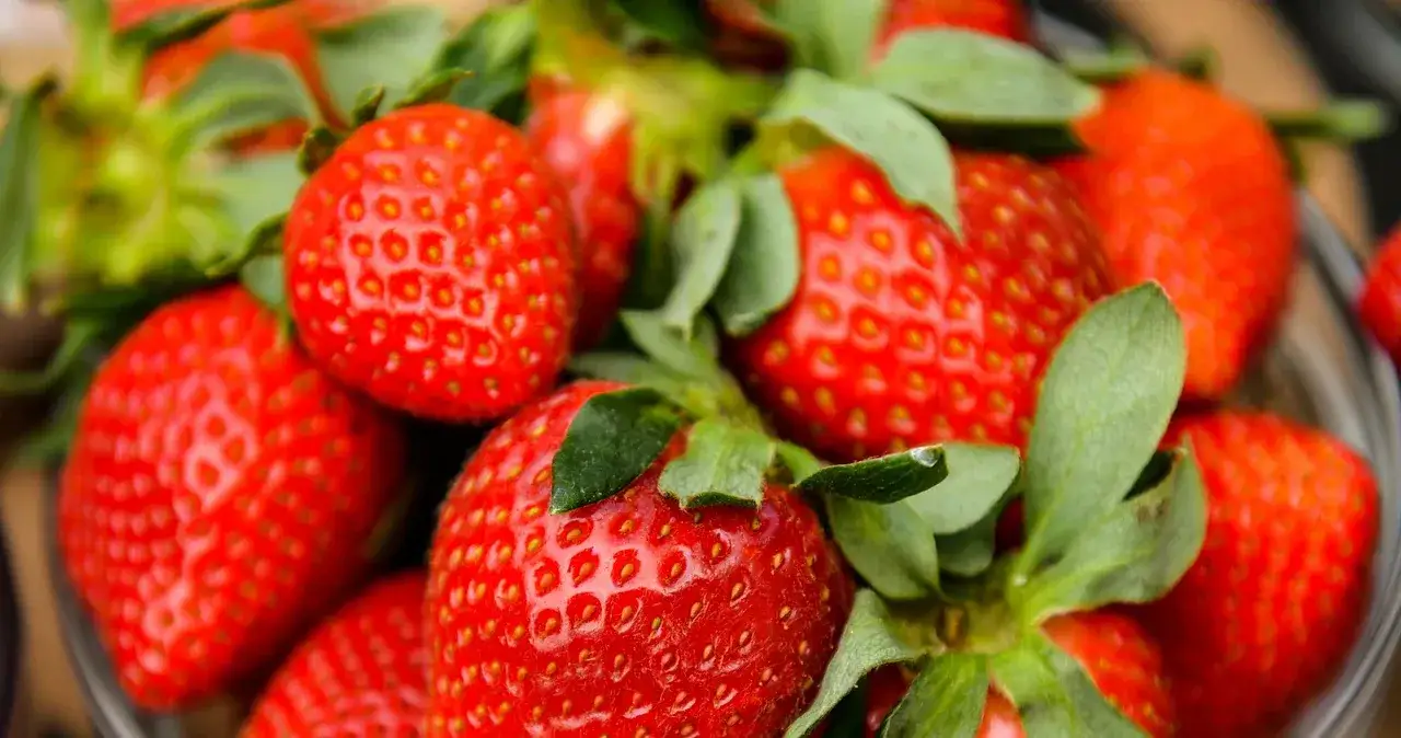Zdjęcie Sezon na truskawki kiedy się kończy - nie przegap ostatnich owoców