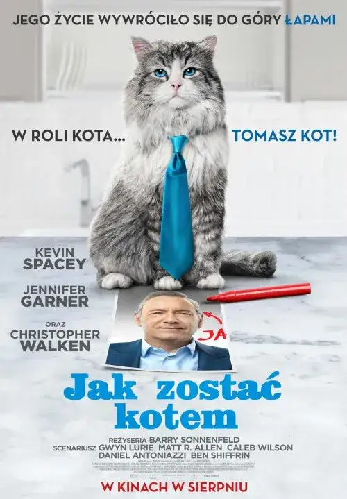 Zdjęcie Jak zostać kotem na Netflix? Sprawdź, gdzie obejrzeć film online