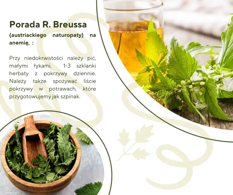 Zdjęcie Jakie produkty na anemię dla seniora pomogą poprawić zdrowie?