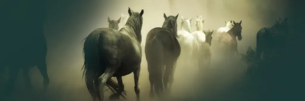 Zdjęcie Koń znaczenie: odkryj ukryte symbole i ich wpływ na życie