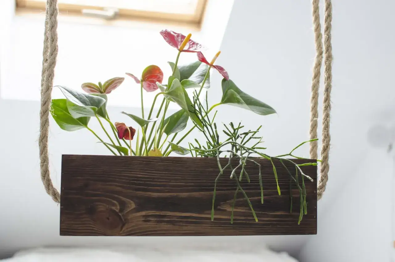 Zdjęcie Jak łatwo zrobić kwietnik ze skrzynki po jabłkach – krok po kroku z poradami