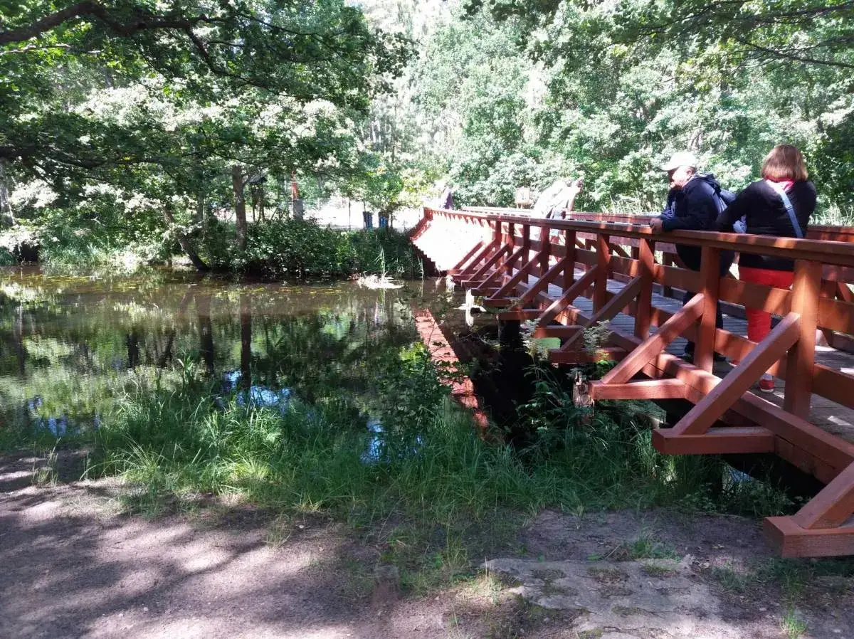 Zdjęcie Najlepsze trasy rowerowe w Dębkach – gdzie jechać i co zobaczyć na rowerze