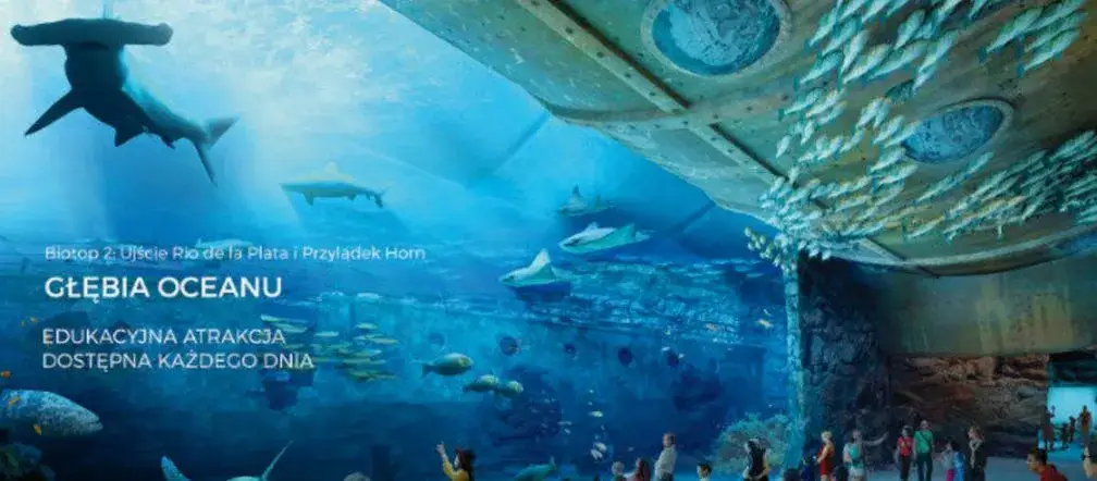 Zdjęcie Oceanarium Nautilus w Gdańsku: Co musisz wiedzieć o otwarciu i atrakcjach