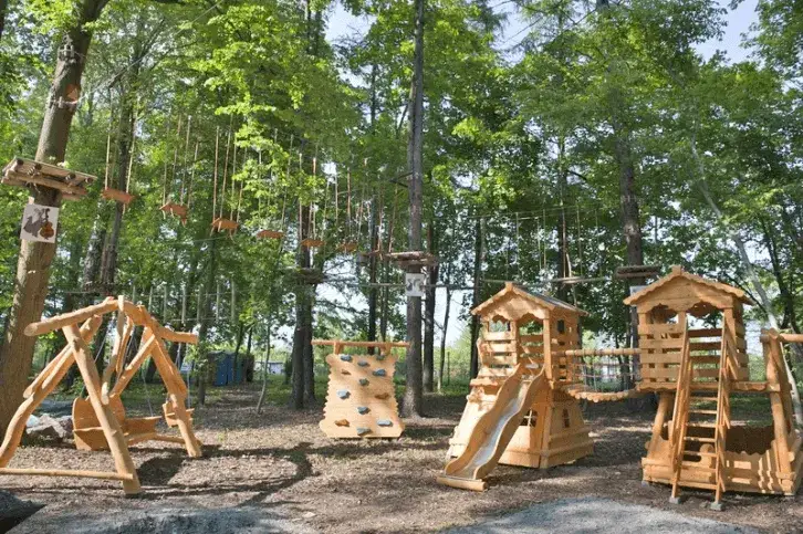 Zdjęcie Park linowy Malbork - emocjonujące trasy i atrakcje dla każdego