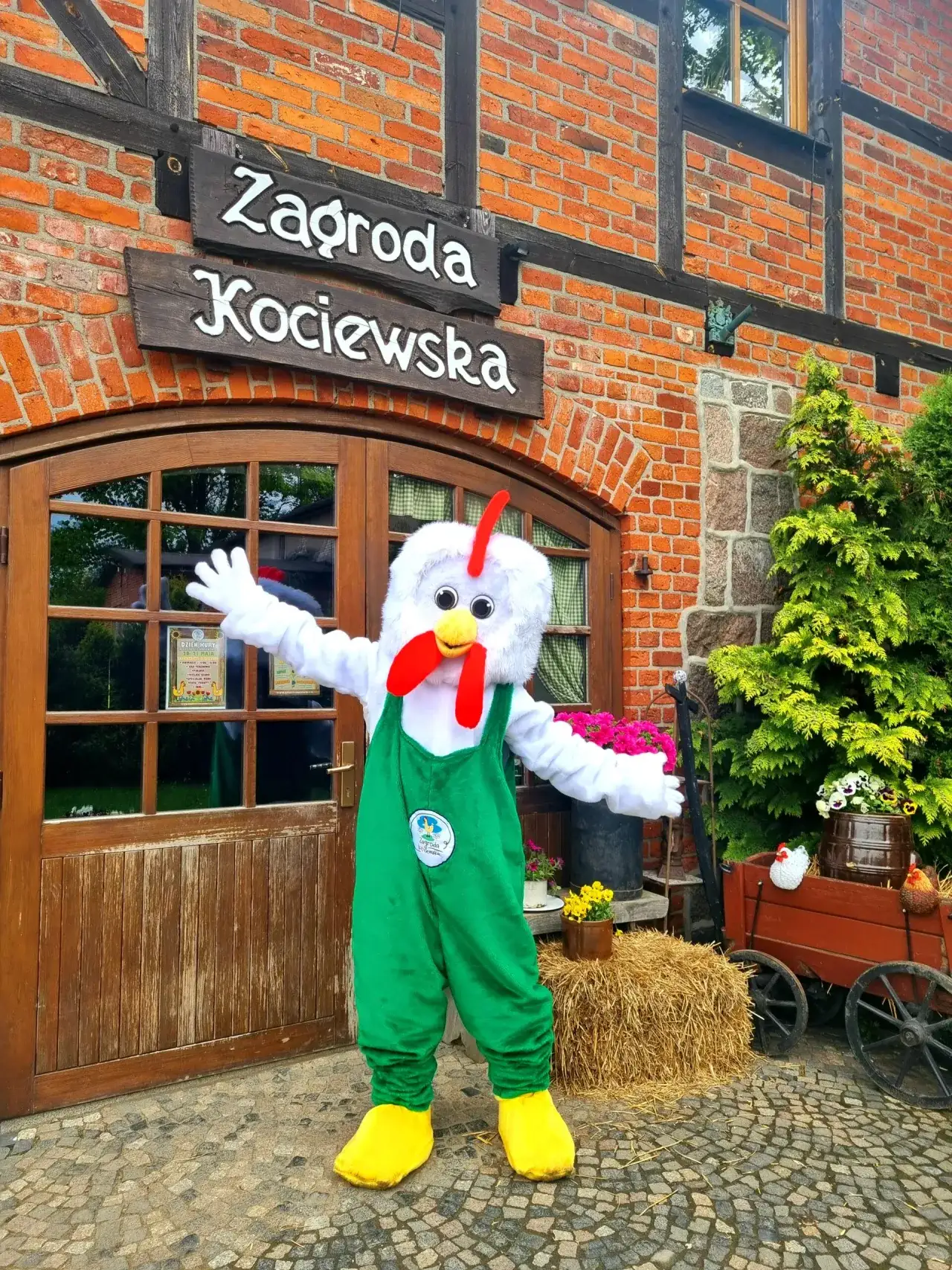 Zdjęcie Zagroda Kociewska atrakcje – odkryj radość rodzinnych zabaw