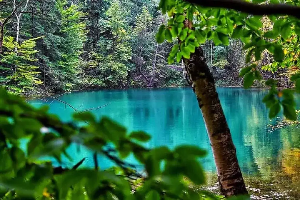 Zdjęcie Kolorowe jeziora dolnośląskie – tajemnice, które musisz poznać