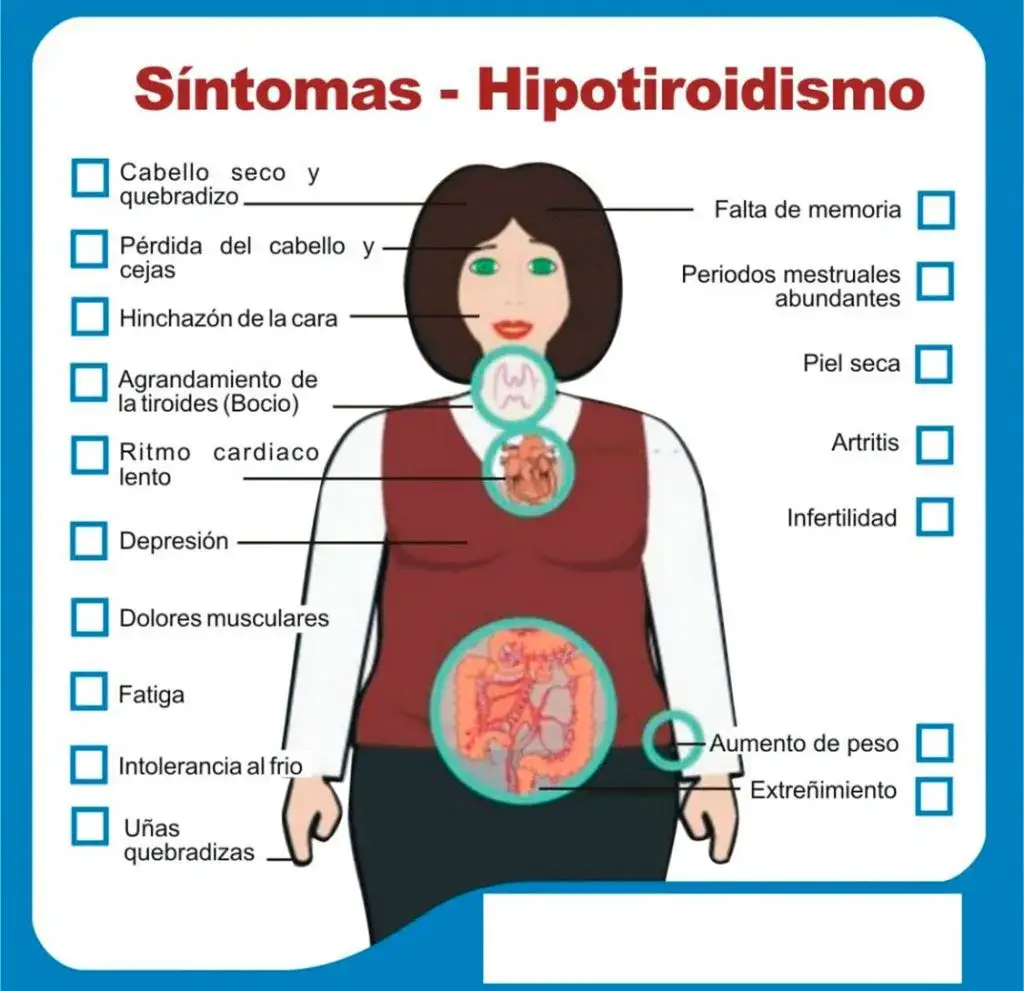 Zdjęcie ¿Problemas de tiroides? 10 síntomas que no debes ignorar