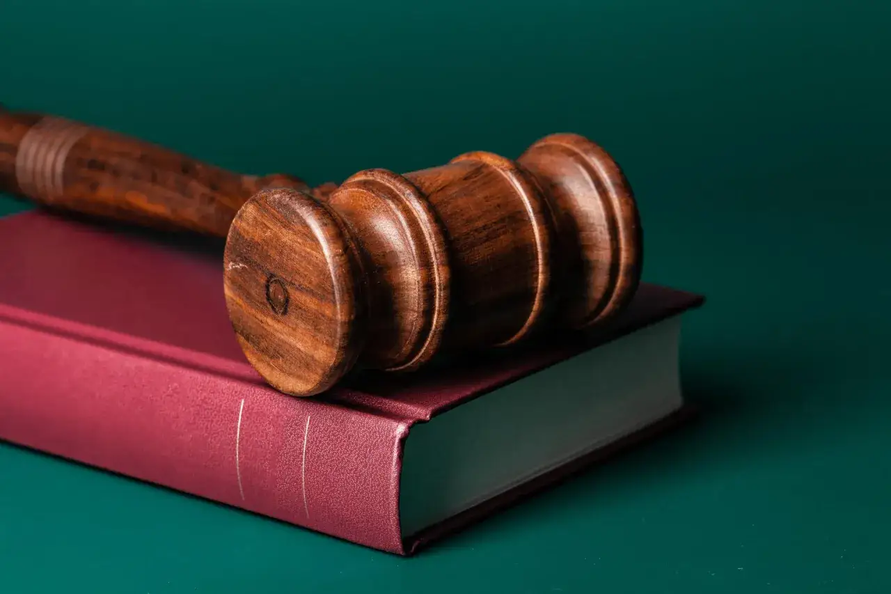 Zdjęcie Zajęcie wynagrodzenia samotnej matki przez komornika: co musisz wiedzieć?