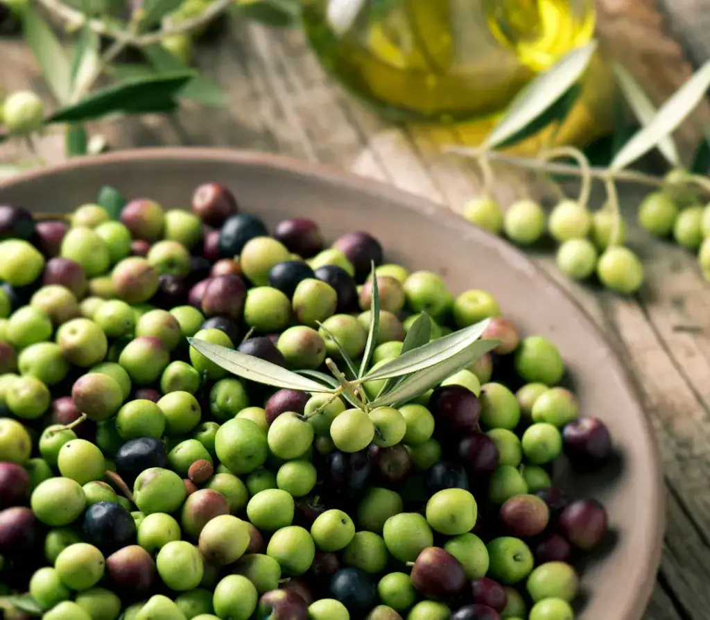 Zdjęcie Jaka oliwa do pizzy? Odkryj najlepsze opcje dla wyjątkowego smaku