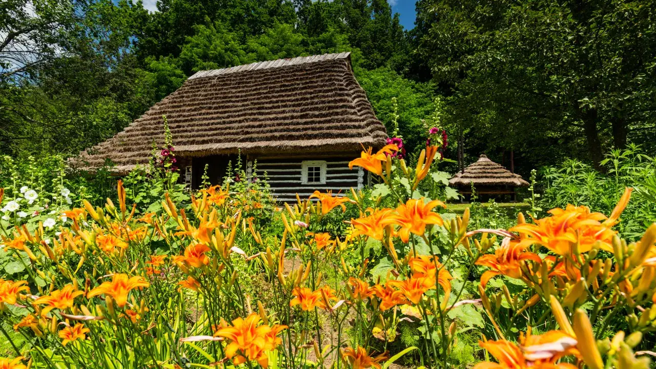 Zdjęcie Co to jest skansen? Odkryj fascynujący świat muzeów etnograficznych