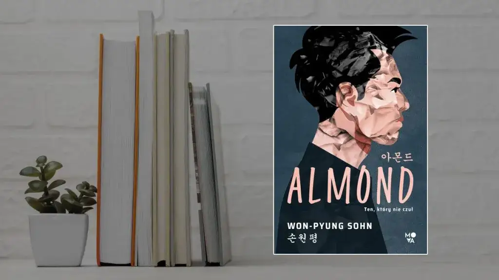 Zdjęcie Najlepsze książki koreańskich autorów - fascynujący świat literatury z dalekiego wschodu