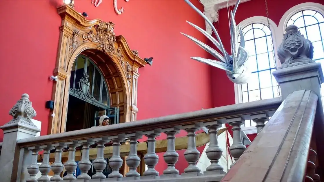 Zdjęcie Oceanarium w Monako: Fascynujące wystawy i atrakcje, które musisz zobaczyć