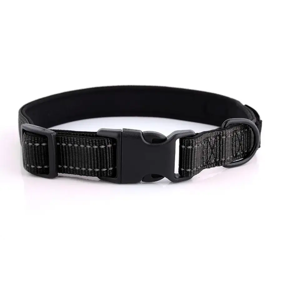 Zdjęcie Jaką obrożę dla cane corso wybrać, aby zapewnić bezpieczeństwo?