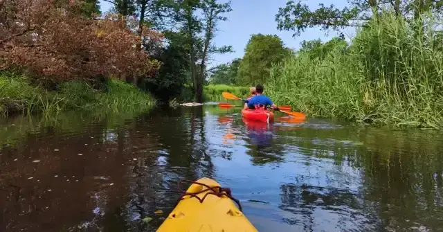 Zdjęcie Spływy kajakowe Lubelszczyzna: odkryj najpiękniejsze trasy i rzeki