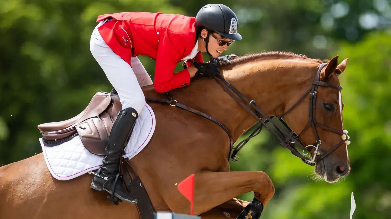 Zdjęcie Najważniejsze wydarzenia jeździectwa na Eurosport – co musisz wiedzieć