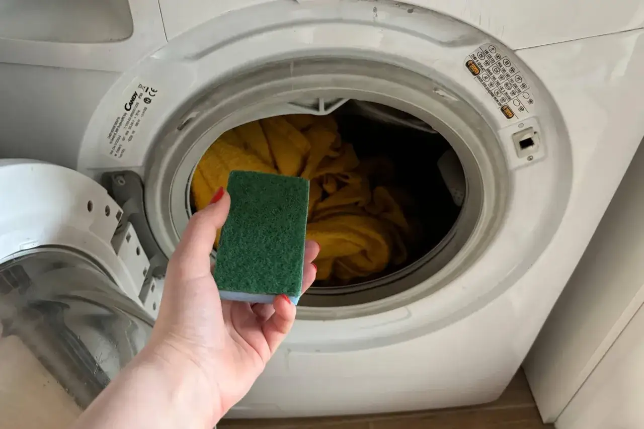 Zdjęcie Skuteczne sposoby na pozbycie się sierści z ubrań podczas prania