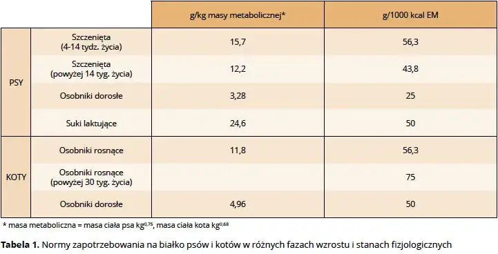 Zdjęcie Ile białka w karmie dla psa? Kluczowe informacje dla zdrowia pupila