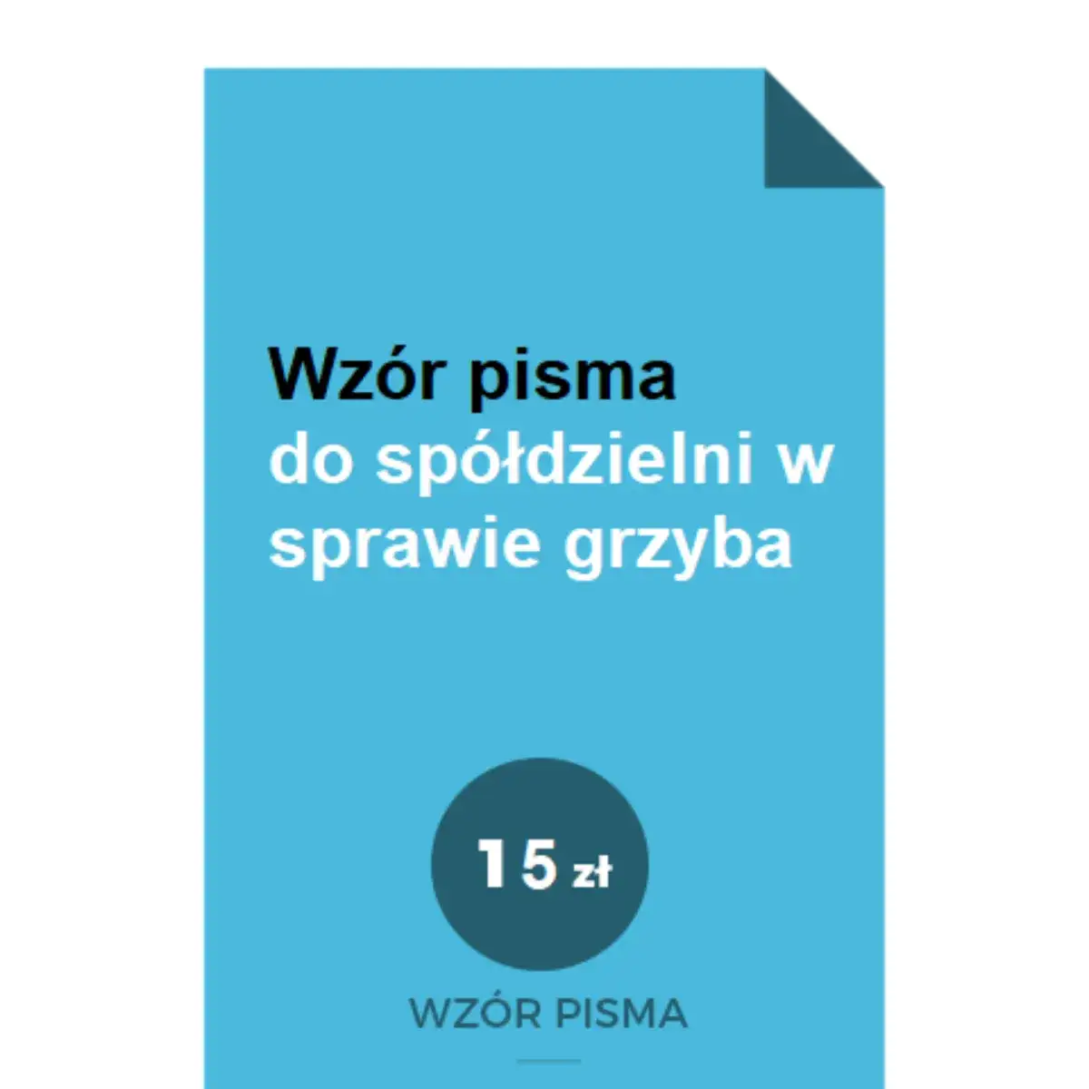 Zdjęcie Jak napisać pismo do spółdzielni mieszkaniowej w sprawie grzyba?