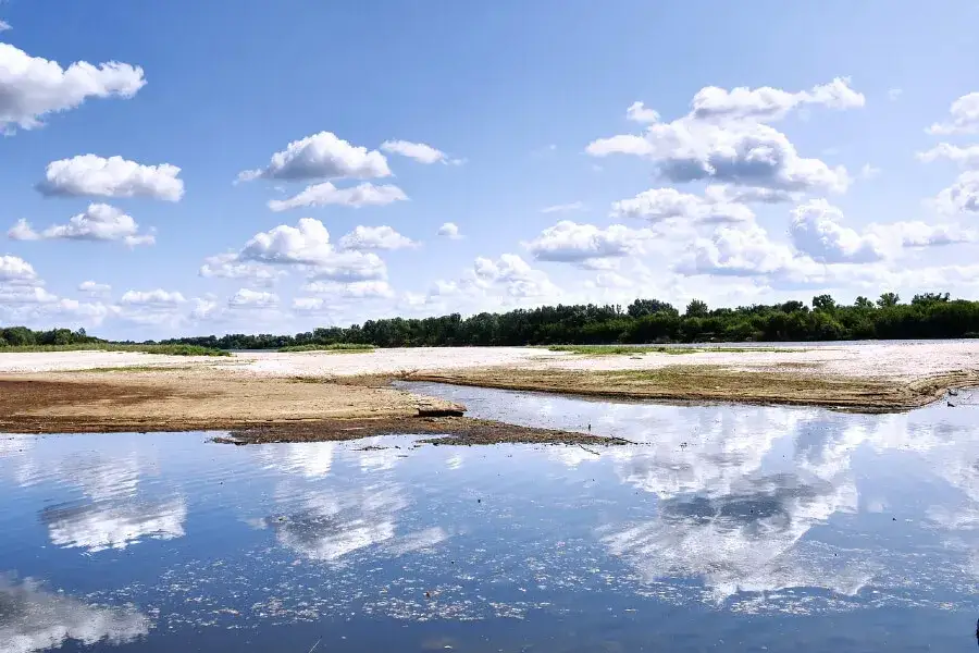 Zdjęcie Gdzie na ryby Mazowieckie? Odkryj najlepsze łowiska i porady