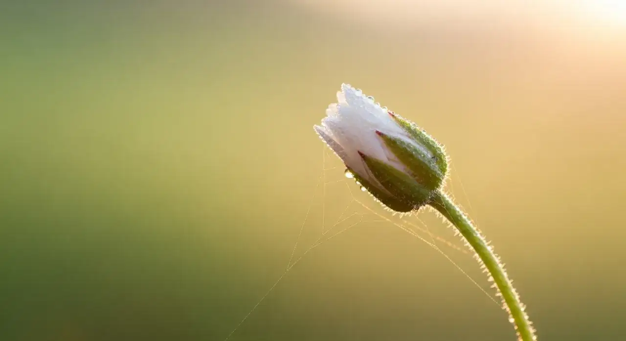 Zdjęcie Objawy w 3 tygodniu ciąży - co może zmylić i jak je rozpoznać