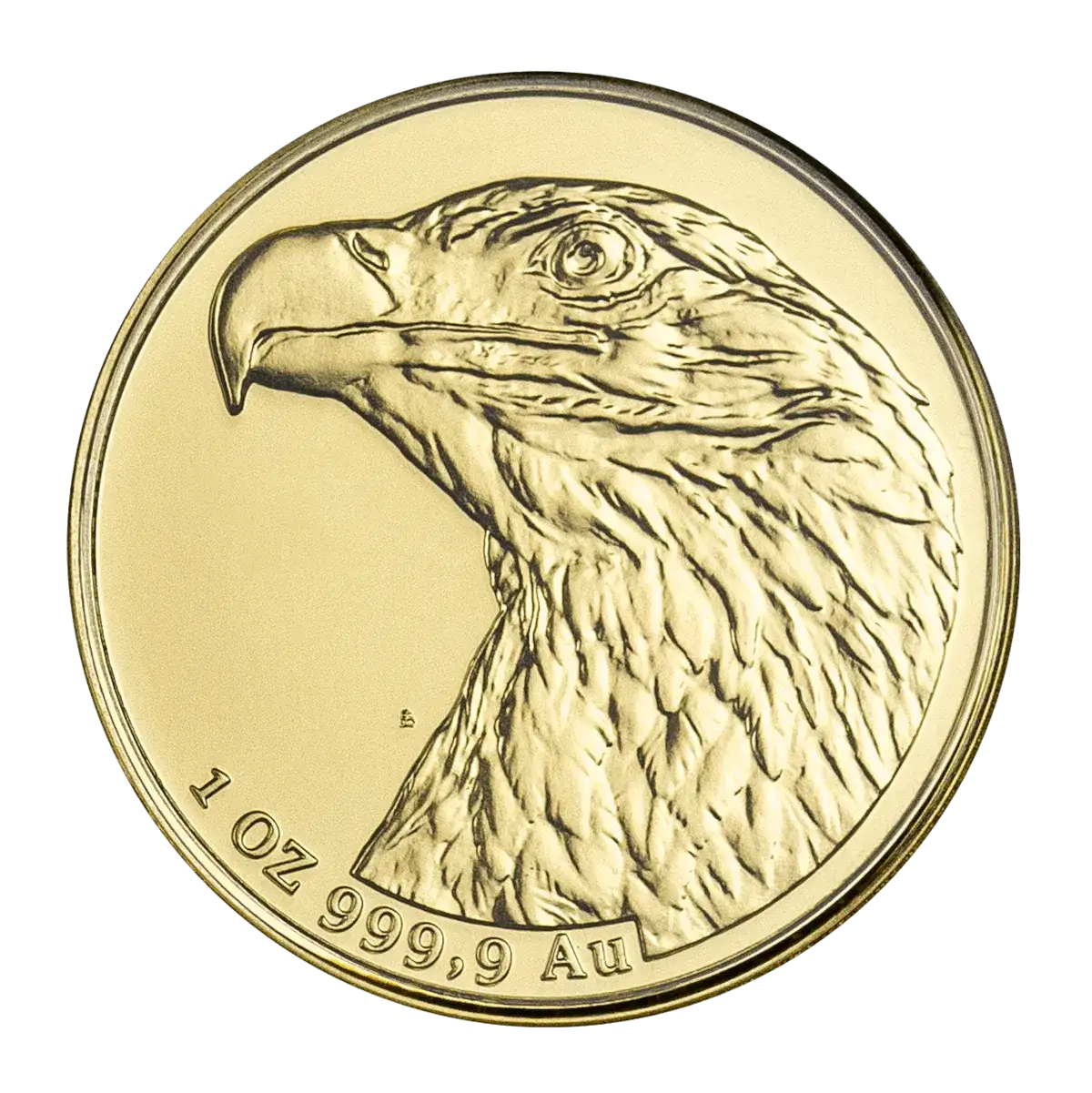 Zdjęcie Gdzie kupić Orzeł Bielik NBP? Sprawdzone źródła i oferty