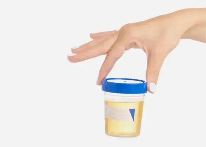 Zdjęcie Jak pobrać mocz od starszej osoby bez stresu i z zachowaniem higieny