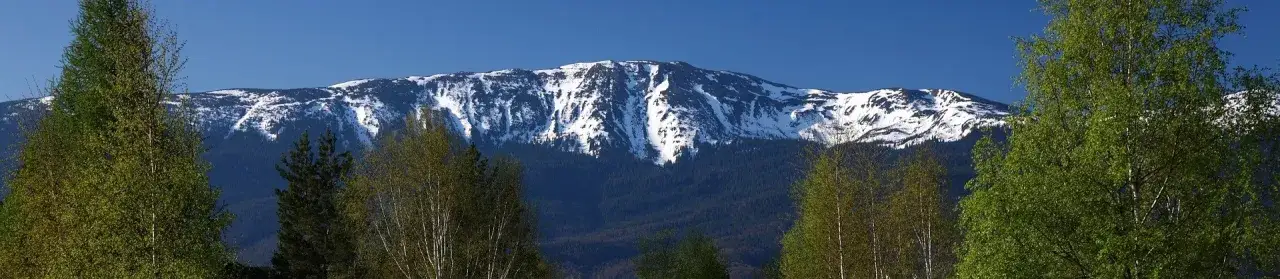 Zdjęcie Kiedy powstał babiogórski park narodowy? Odkryj jego fascynującą historię