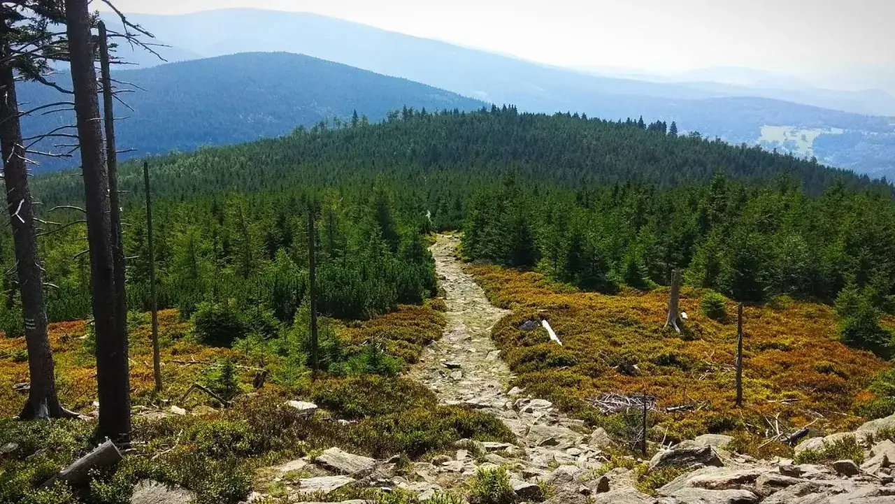 Zdjęcie Czarna Góra – jakie to góry i co warto o nich wiedzieć?