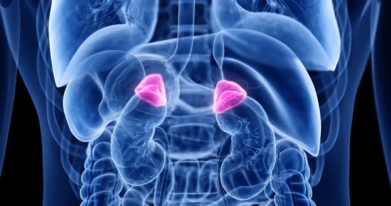 Zdjęcie Nadczynność kory nadnerczy objawy - jak je rozpoznać i leczyć