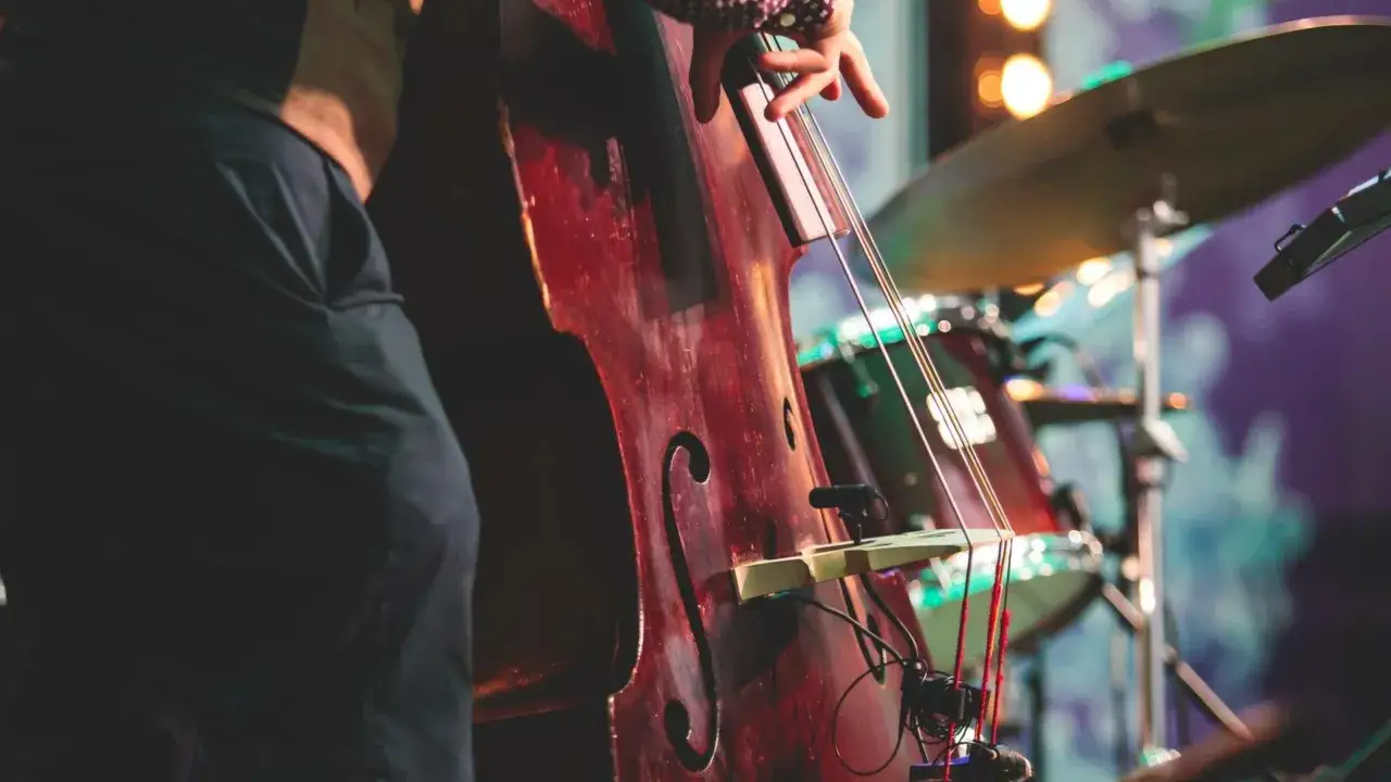 Zdjęcie Kontrabas - budowa i techniki gry na tym niskim instrumencie smyczkowym