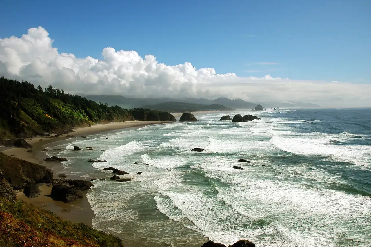 Zdjęcie Zatoka skalista dolna - kluczowe informacje o jej funkcjach i znaczeniu