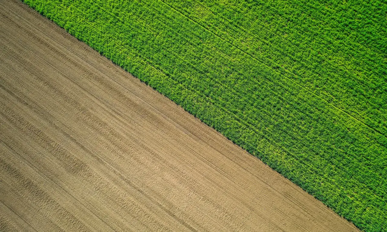 Zdjęcie Czy warto inwestować w ziemię? Odkryj prawdziwe korzyści i ryzyka