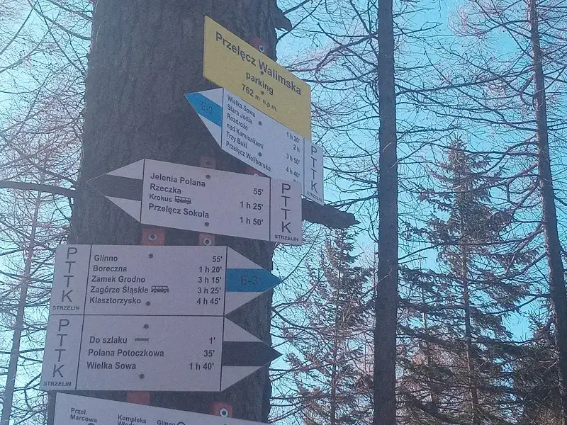 Zdjęcie Który szlak na szczyt Wielkiej Sowy wybrać? Porównujemy trasy! 