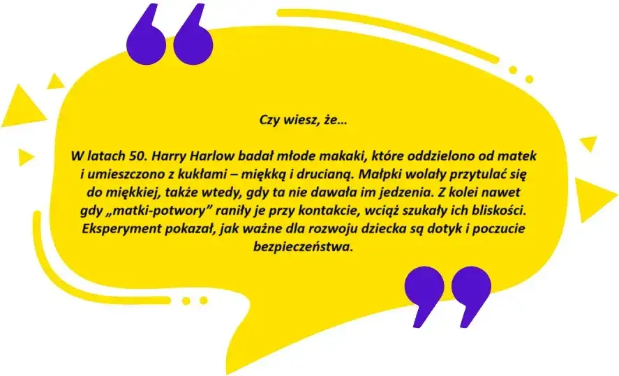 Zdjęcie Najbardziej fascynujące ciekawostki psychologiczne, które zmienią twoje życie