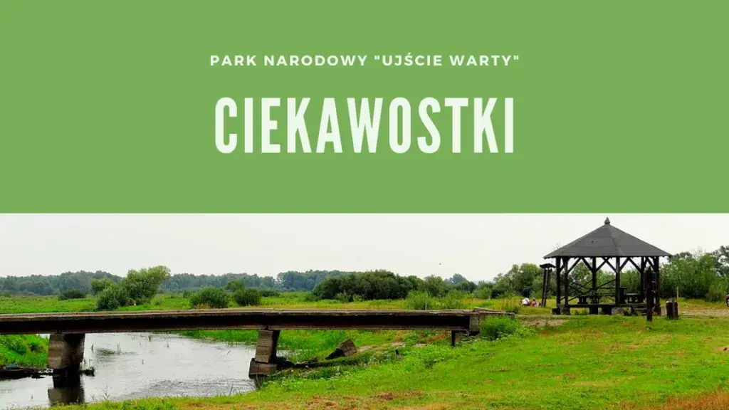 Zdjęcie Kiedy powstał park narodowy Ujście Warty? Zaskakujące fakty o jego historii