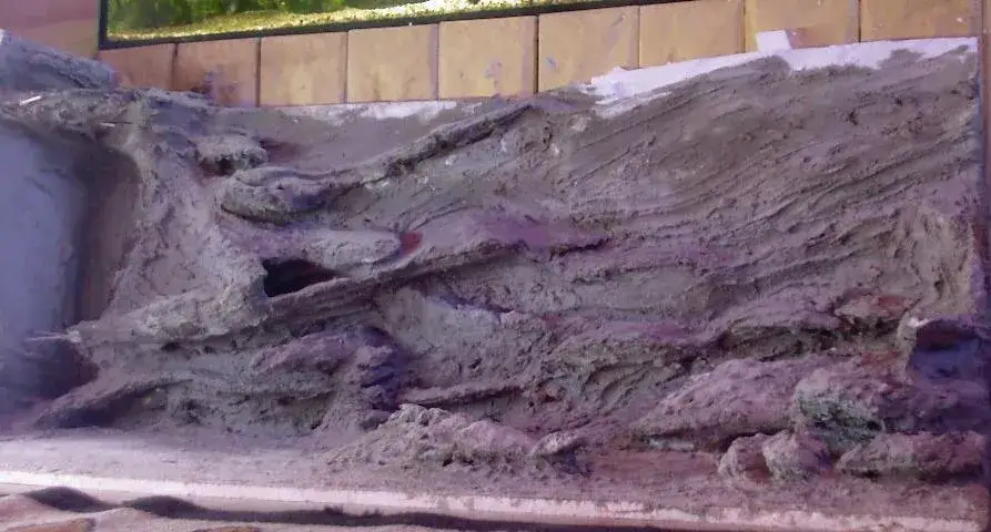 Zdjęcie Jak zrobić tło do akwarium ze styropianu - łatwe kroki i porady